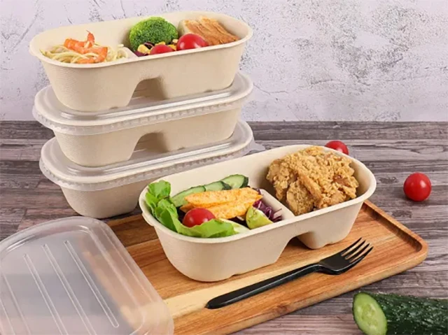 Biodegradable Take Away Food Container Biodegradable Take Away Food Container