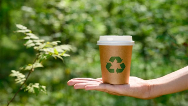 Environmental Sustainability Environmental Sustainability