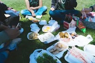 Picnic Party Picnic Party