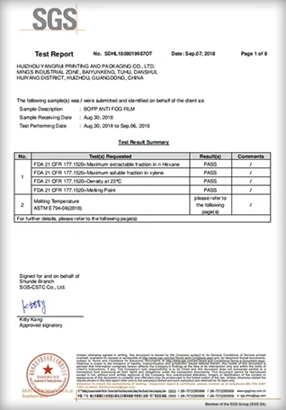 page-1-1 page-1-1